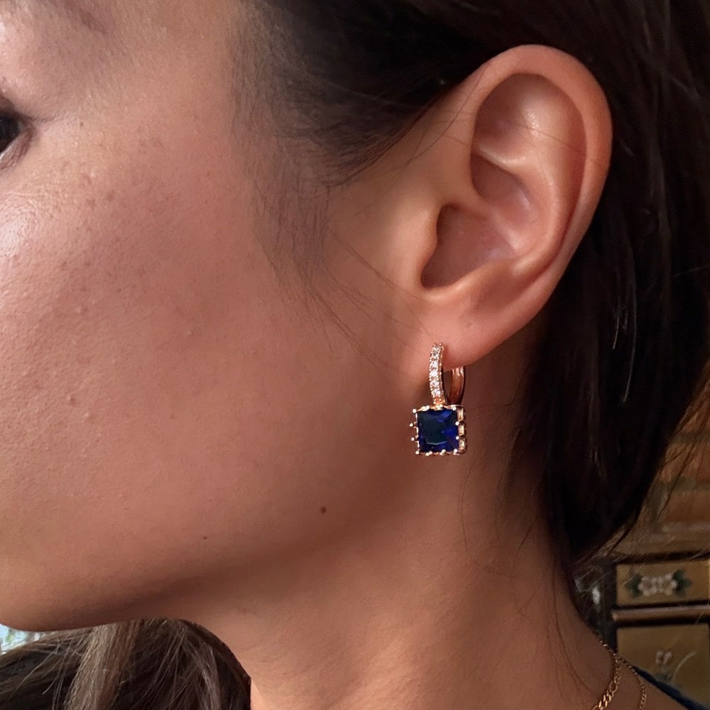 Elegant Blue and Gold Earrings